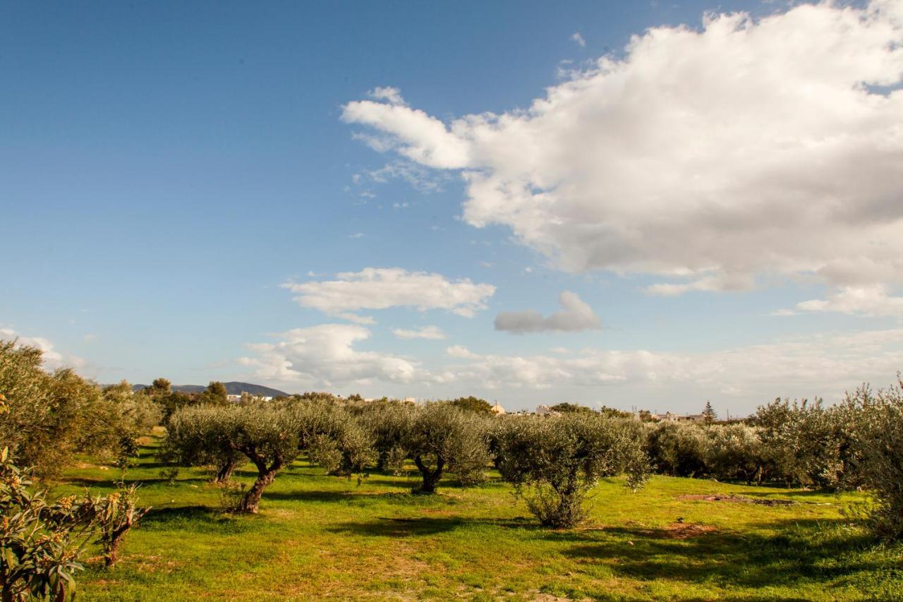 Konstantinos Villa Koutsourás Esterno foto