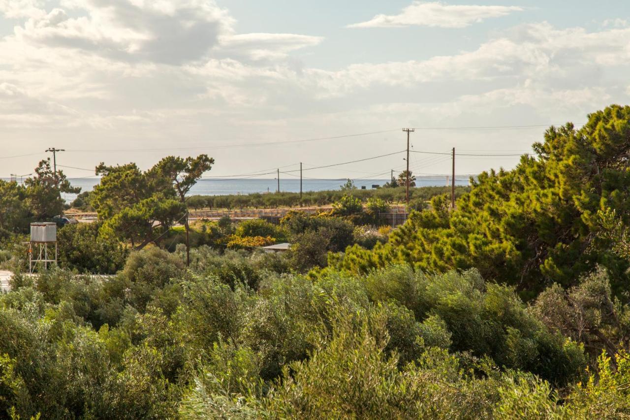 Konstantinos Villa Koutsourás Esterno foto